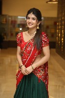 Sreeleela Half Saree Photos